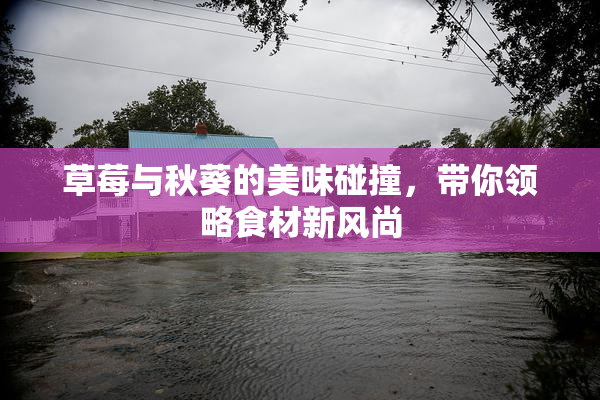 草莓与秋葵的美味碰撞，带你领略食材新风尚