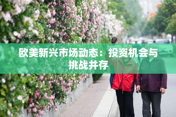 欧美新兴市场动态：投资机会与挑战并存