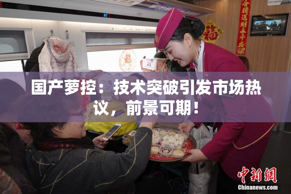 国产萝控：技术突破引发市场热议，前景可期！
