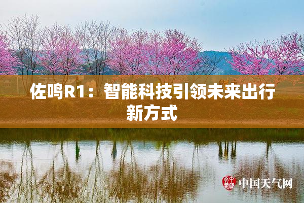 佐鸣R1：智能科技引领未来出行新方式