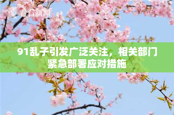 91乱子引发广泛关注，相关部门紧急部署应对措施