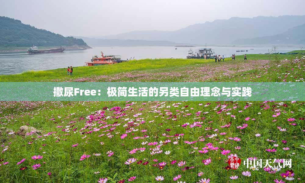 撒尿Free：极简生活的另类自由理念与实践