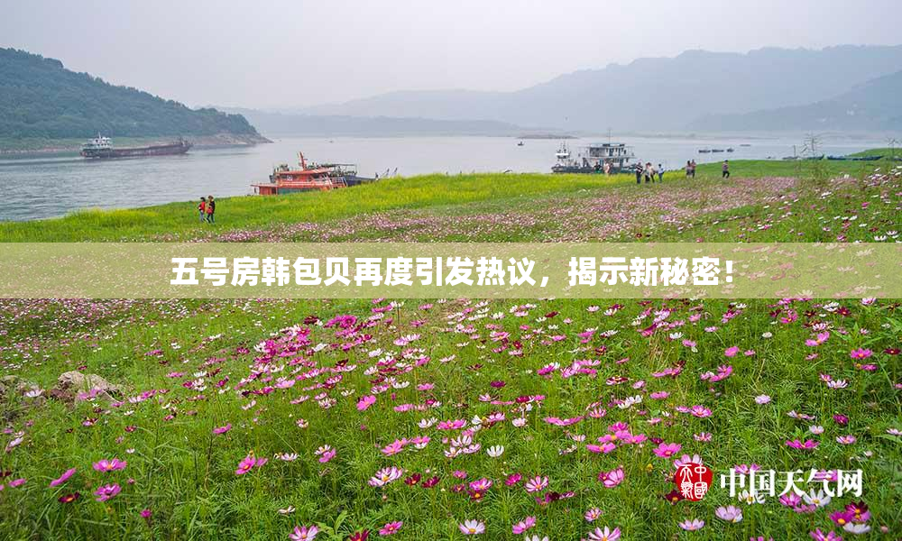 五号房韩包贝再度引发热议，揭示新秘密！