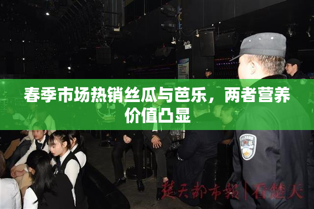春季市场热销丝瓜与芭乐，两者营养价值凸显