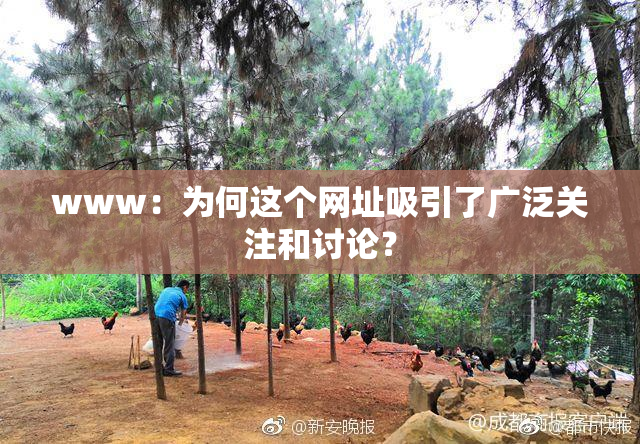 www：为何这个网址吸引了广泛关注和讨论？