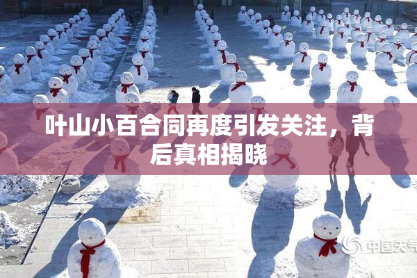 叶山小百合同再度引发关注，背后真相揭晓