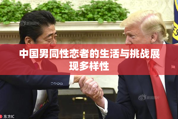 中国男同性恋者的生活与挑战展现多样性