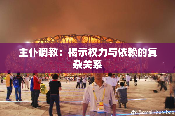 主仆调教：揭示权力与依赖的复杂关系
