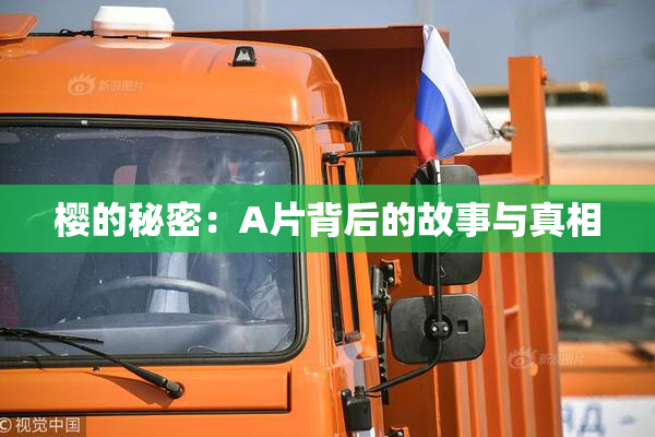 樱的秘密：A片背后的故事与真相