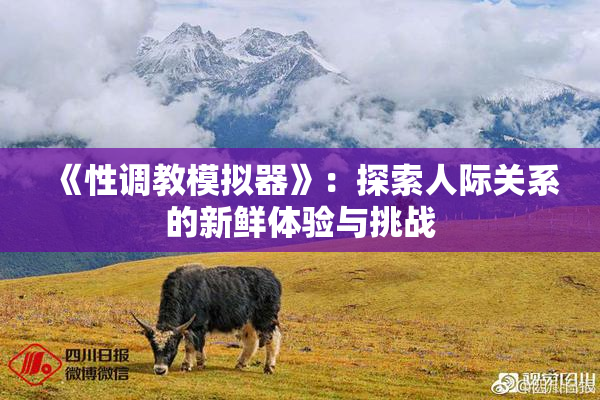 《性调教模拟器》：探索人际关系的新鲜体验与挑战