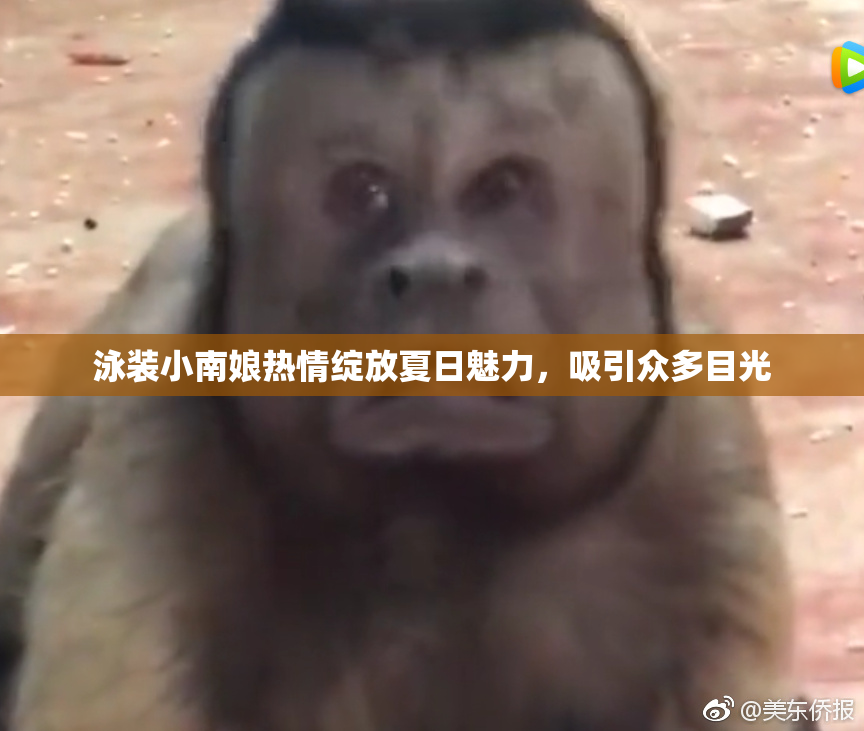 泳装小南娘热情绽放夏日魅力，吸引众多目光