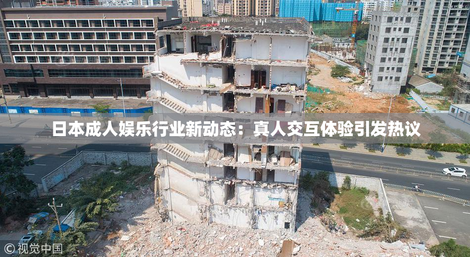 日本成人娱乐行业新动态：真人交互体验引发热议