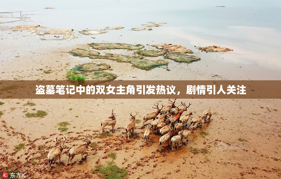 盗墓笔记中的双女主角引发热议，剧情引人关注