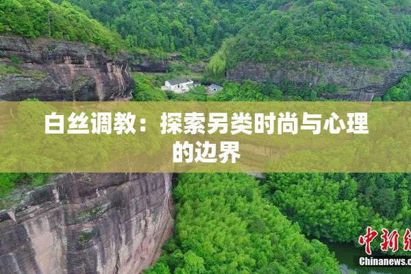 白丝调教：探索另类时尚与心理的边界