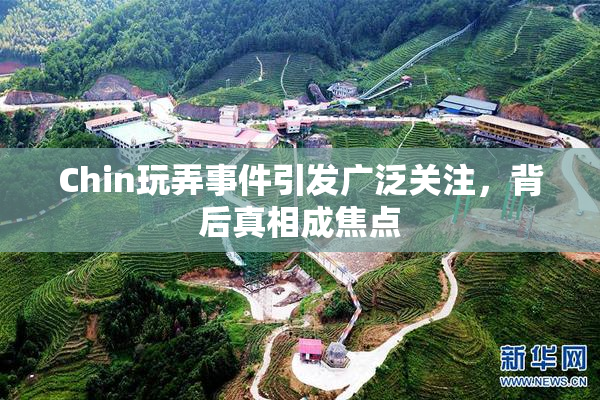 Chin玩弄事件引发广泛关注，背后真相成焦点