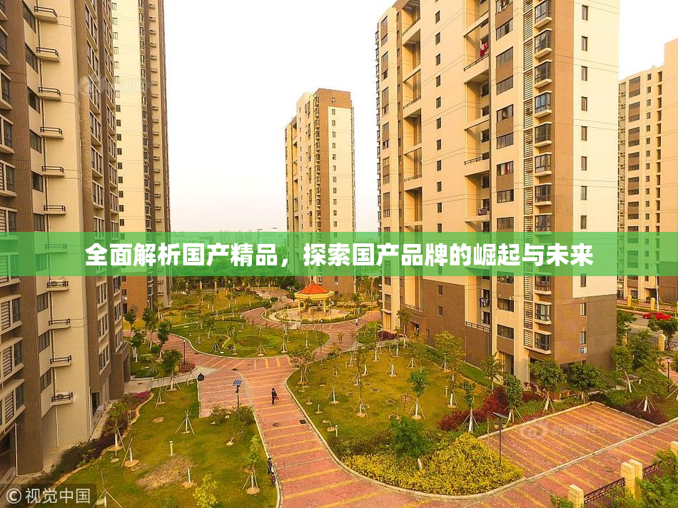 全面解析国产精品，探索国产品牌的崛起与未来