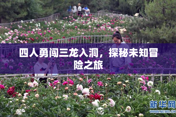 四人勇闯三龙入洞，探秘未知冒险之旅