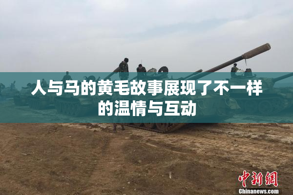 人与马的黄毛故事展现了不一样的温情与互动