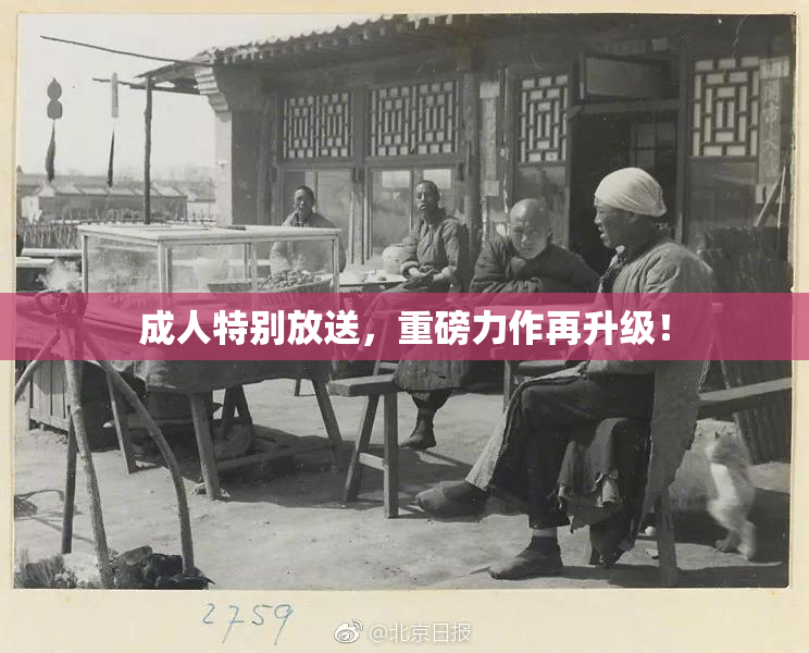 成人特别放送，重磅力作再升级！