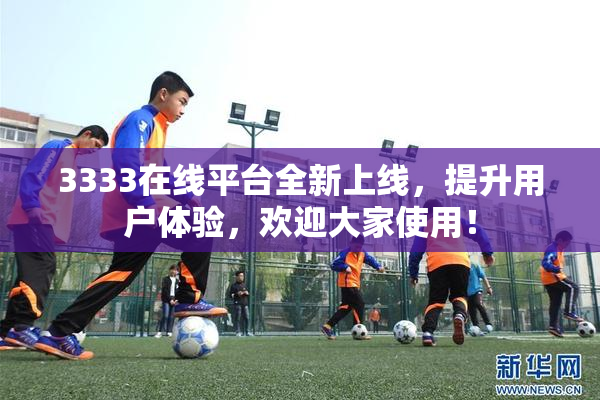 3333在线平台全新上线，提升用户体验，欢迎大家使用！
