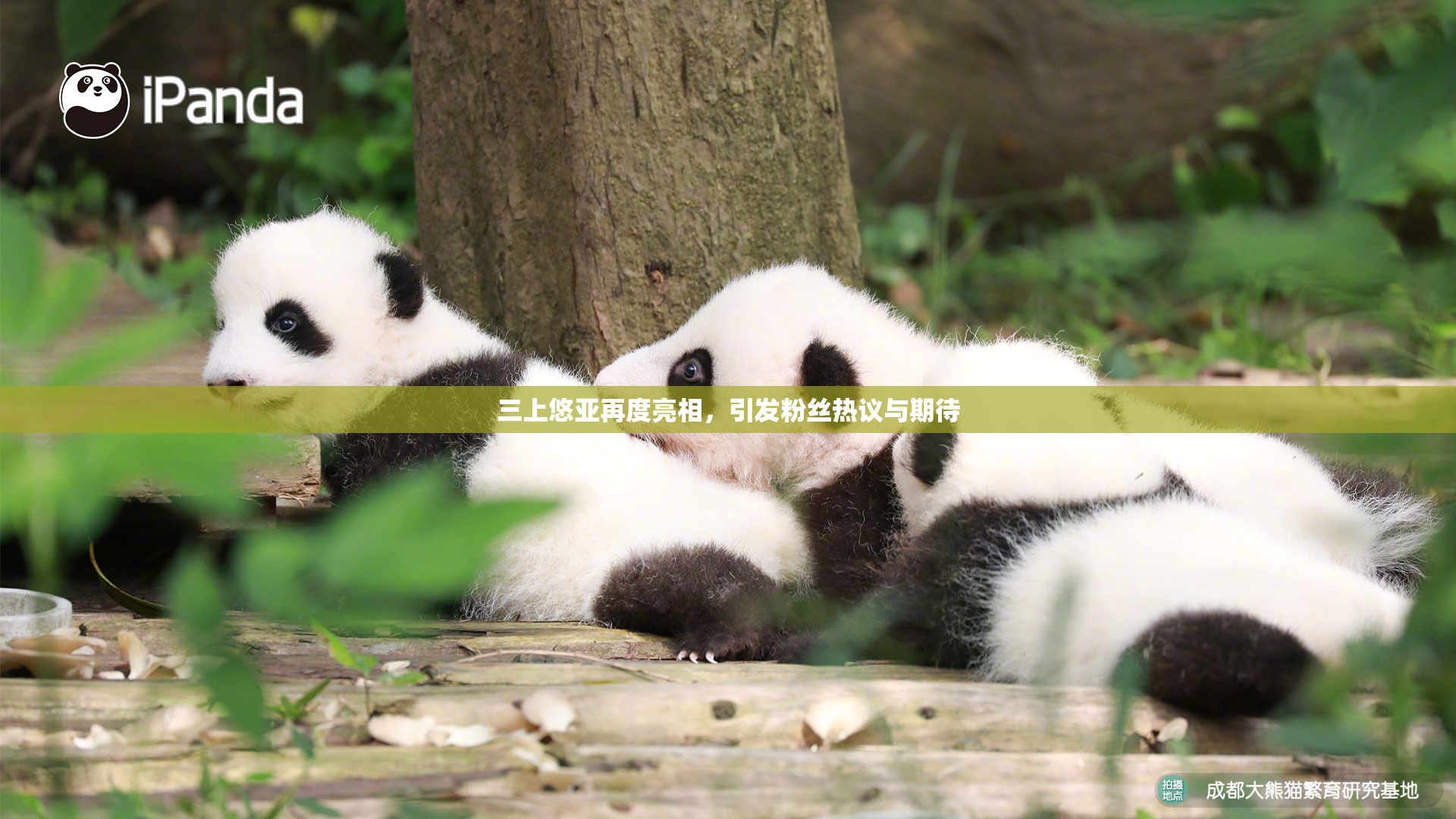三上悠亚再度亮相，引发粉丝热议与期待