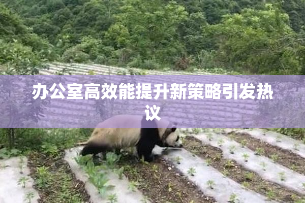 办公室高效能提升新策略引发热议