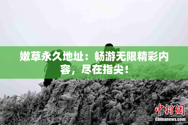 嫩草永久地址：畅游无限精彩内容，尽在指尖！