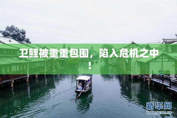 卫鲤被重重包围，陷入危机之中！