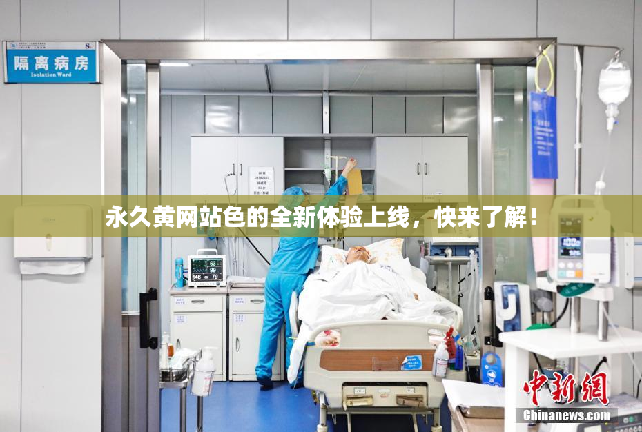 永久黄网站色的全新体验上线，快来了解！