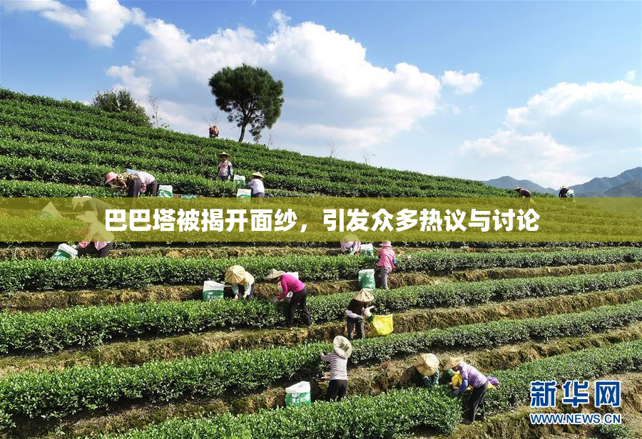 巴巴塔被揭开面纱，引发众多热议与讨论