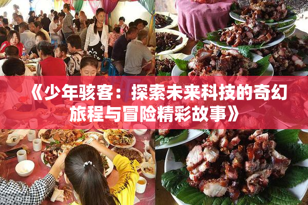 《少年骇客：探索未来科技的奇幻旅程与冒险精彩故事》