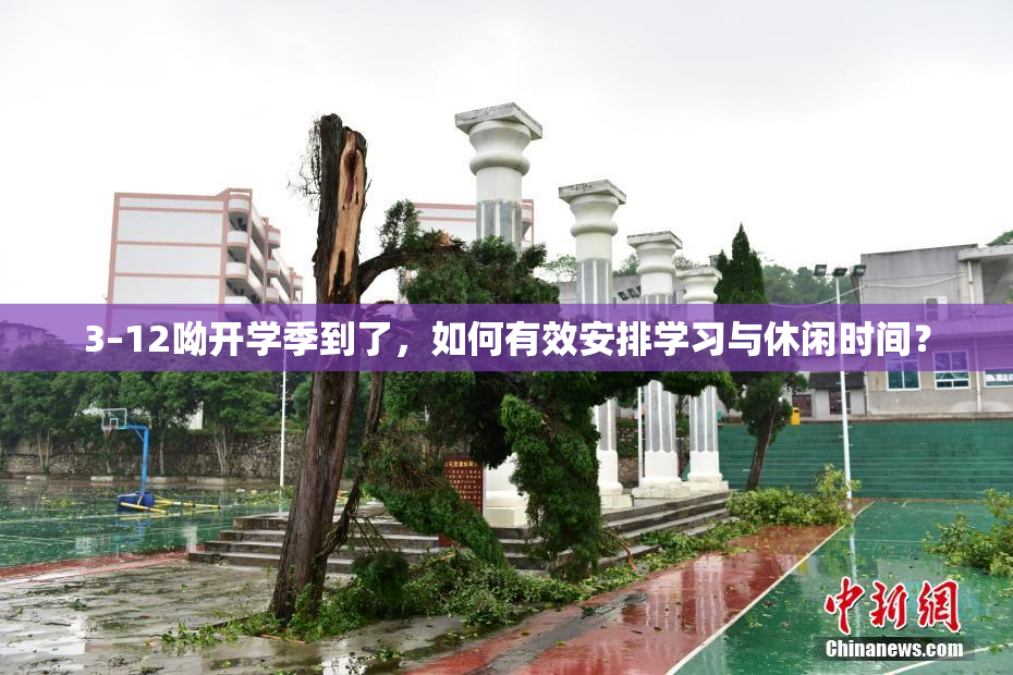3–12呦开学季到了，如何有效安排学习与休闲时间？