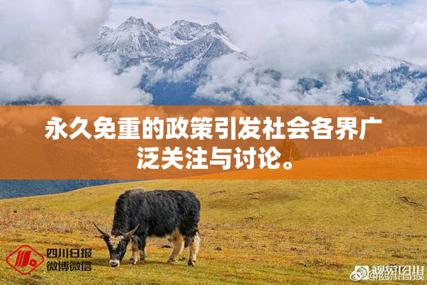 永久免重的政策引发社会各界广泛关注与讨论。