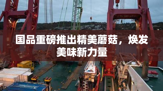 国品重磅推出精美蘑菇，焕发美味新力量