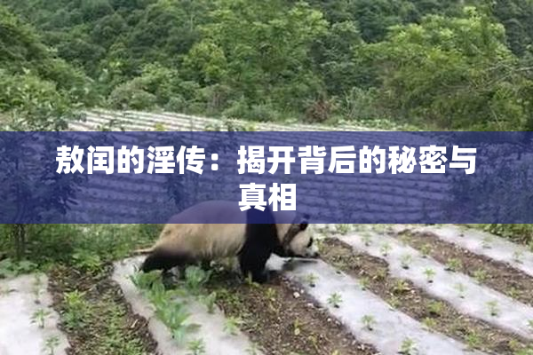 敖闰的淫传：揭开背后的秘密与真相