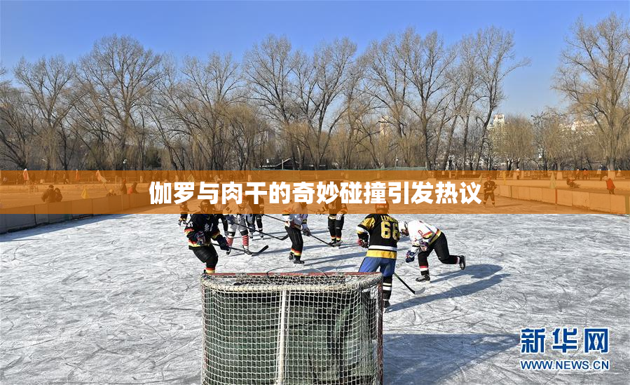 伽罗与肉干的奇妙碰撞引发热议