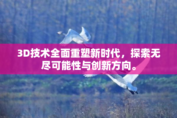 3D技术全面重塑新时代，探索无尽可能性与创新方向。