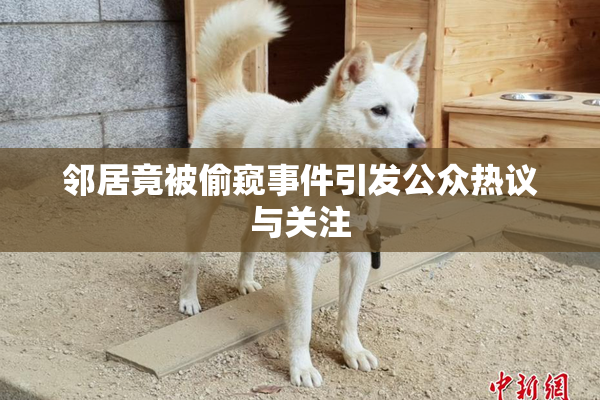 邻居竟被偷窥事件引发公众热议与关注