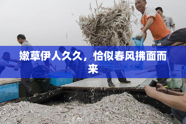 嫩草伊人久久，恰似春风拂面而来