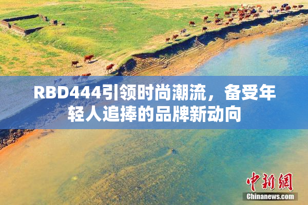 RBD444引领时尚潮流，备受年轻人追捧的品牌新动向