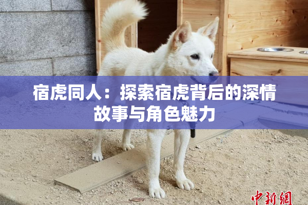 宿虎同人：探索宿虎背后的深情故事与角色魅力