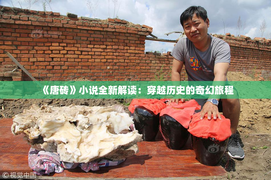 《唐砖》小说全新解读：穿越历史的奇幻旅程