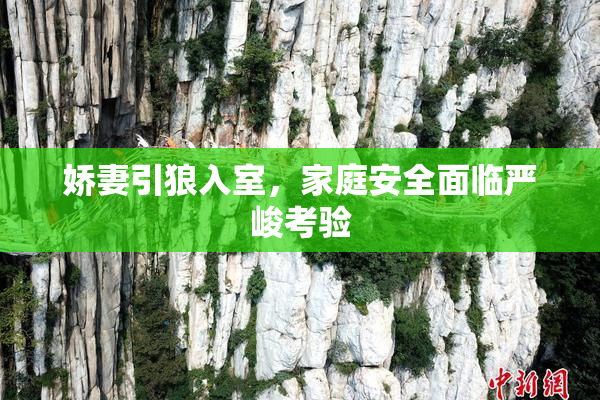 娇妻引狼入室，家庭安全面临严峻考验