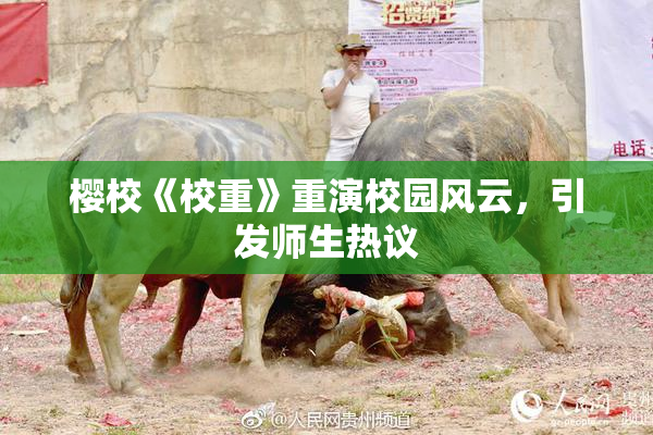 樱校《校重》重演校园风云，引发师生热议