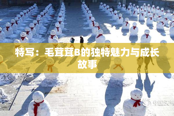 特写：毛茸茸B的独特魅力与成长故事