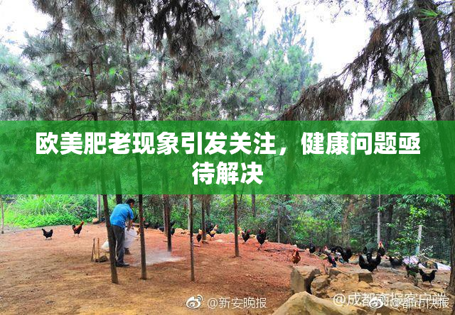欧美肥老现象引发关注，健康问题亟待解决