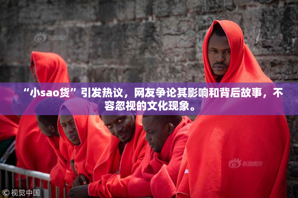 “小sao货”引发热议，网友争论其影响和背后故事，不容忽视的文化现象。