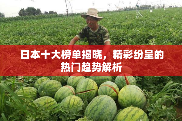 日本十大榜单揭晓，精彩纷呈的热门趋势解析