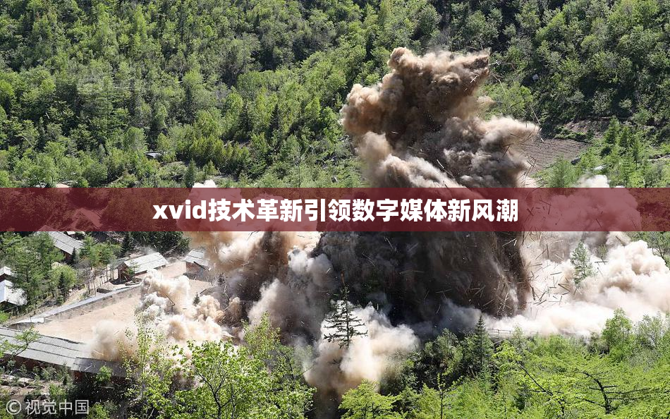 xvid技术革新引领数字媒体新风潮