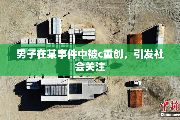 男子在某事件中被c重创，引发社会关注